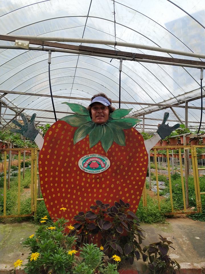 Silliness at the Big Red Strawberry Farm