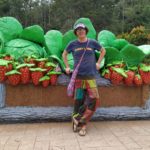 Strawberries in Cameron Highlands
