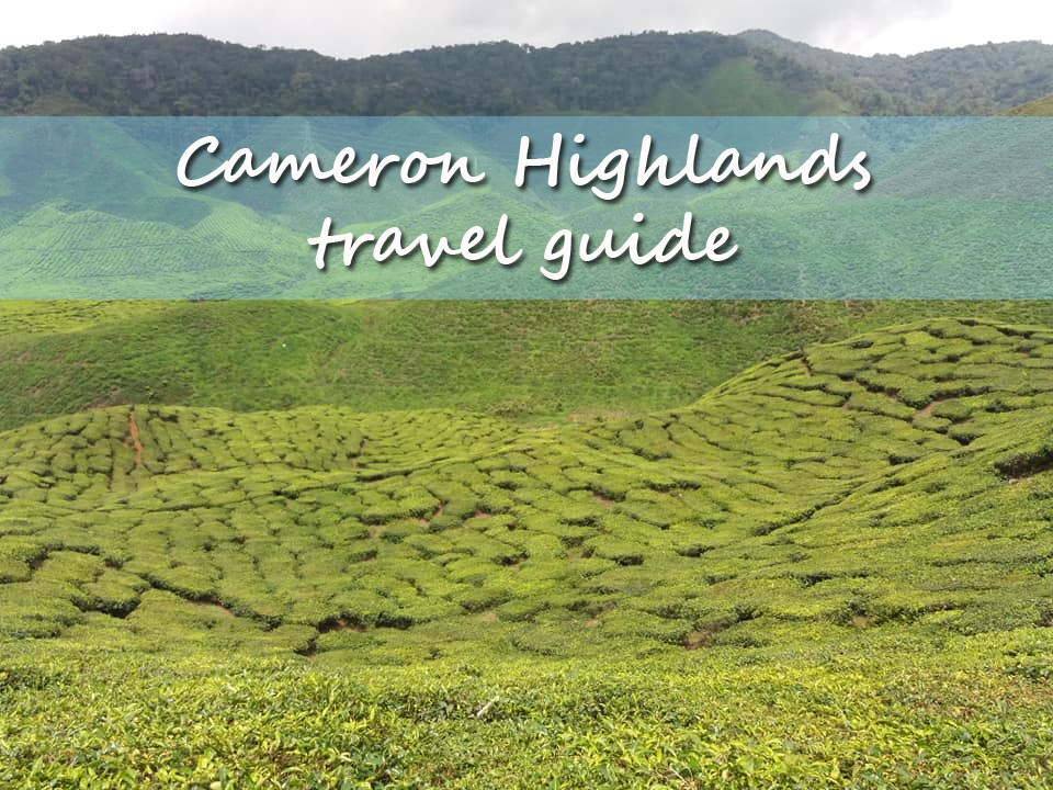 Cameron Highlands travel guide