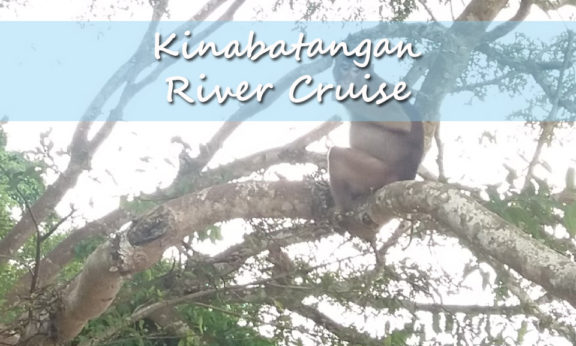 Kinabatangan river cruise