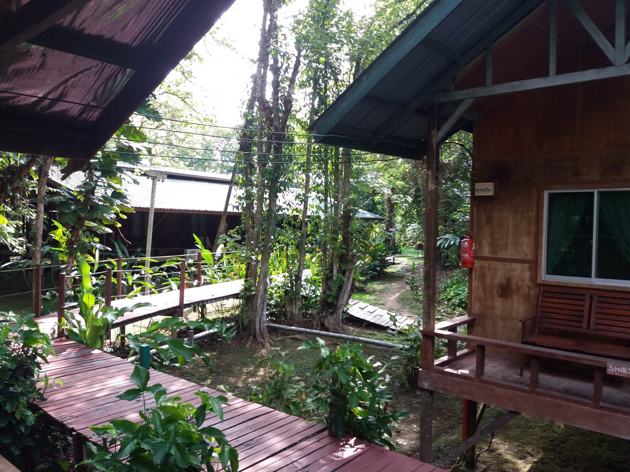 Nature Lodge Kinabatangan private cabin view
