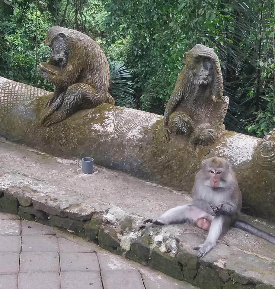 Sacred Monkey Forest Sanctuary, Ubud