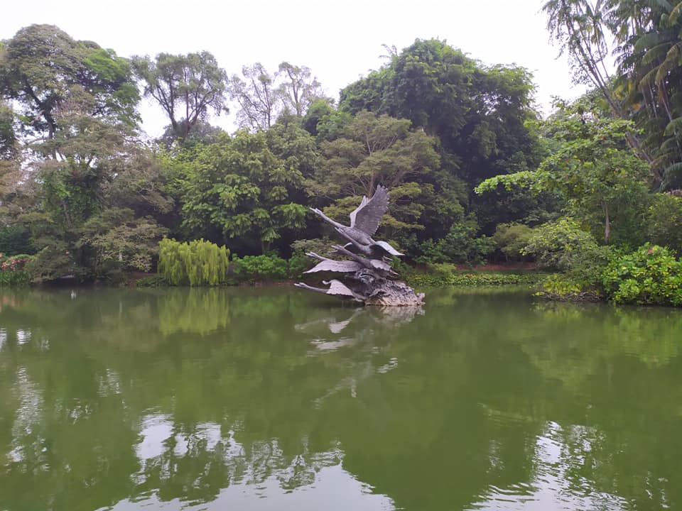 Swan Lake, Singapore Botanic Gardens