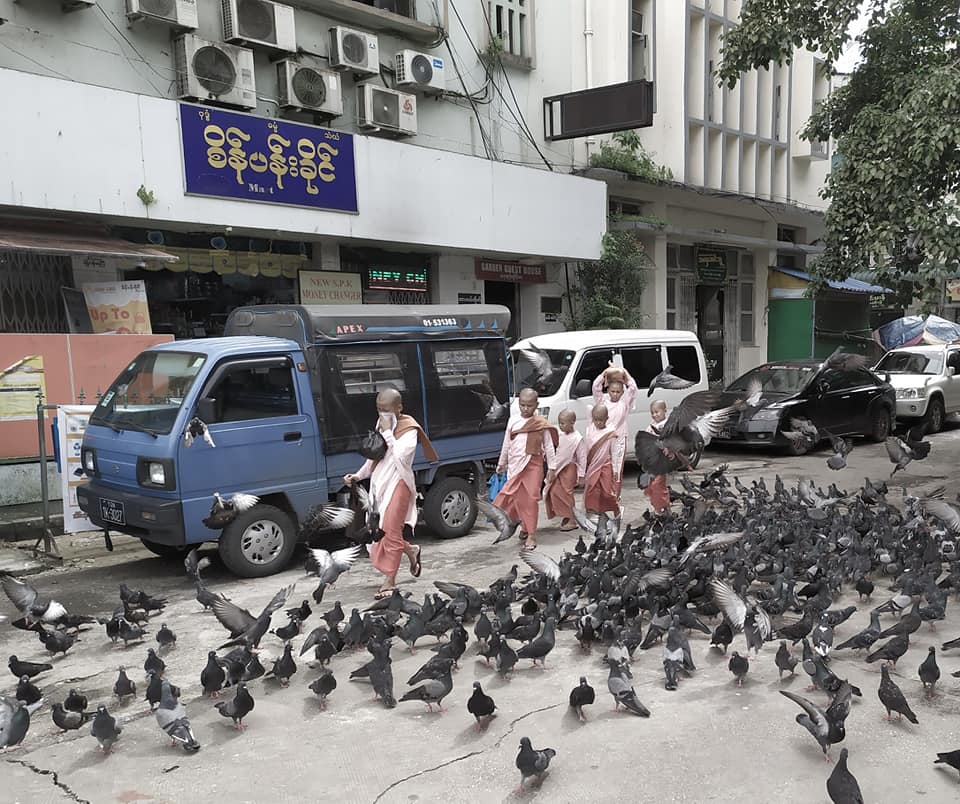 Pigeons and monks