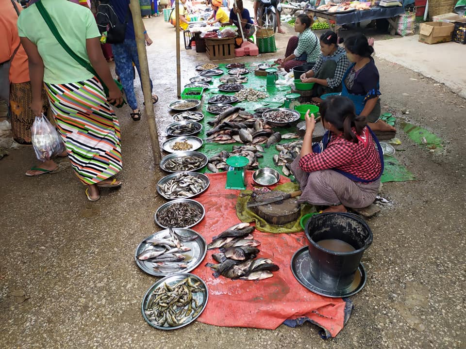 Fish for sale at Kalaw 5 day market