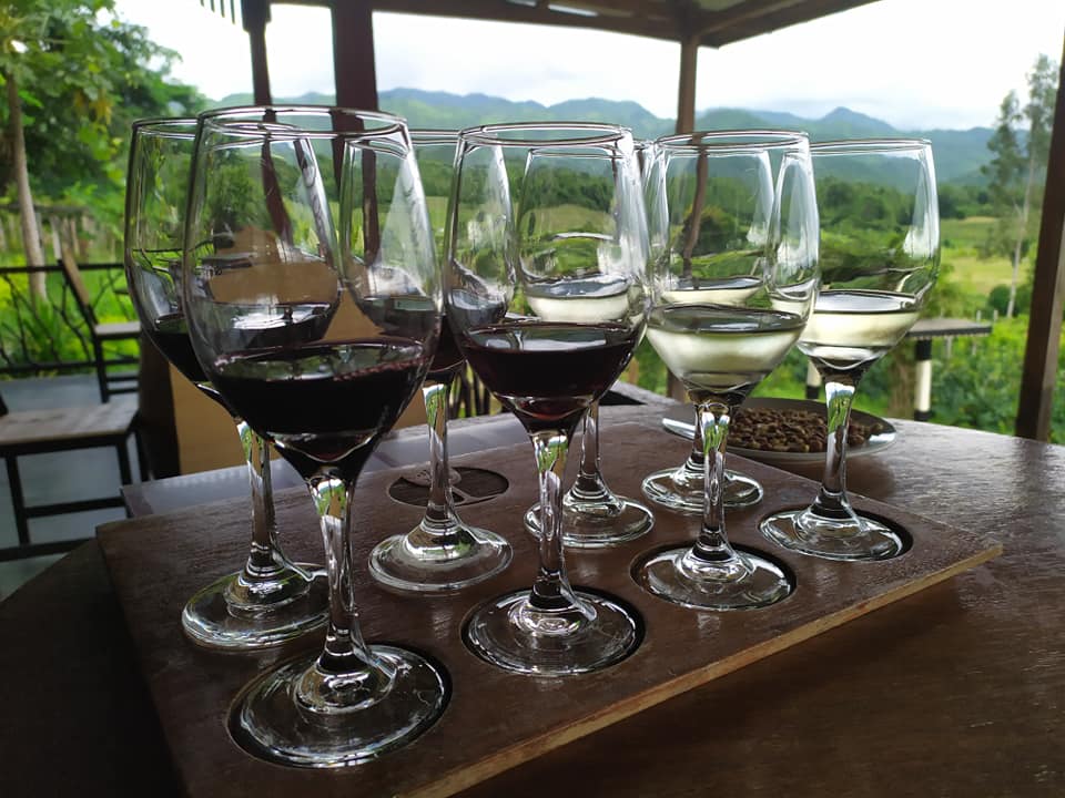 Wine tasting at Red Mountain