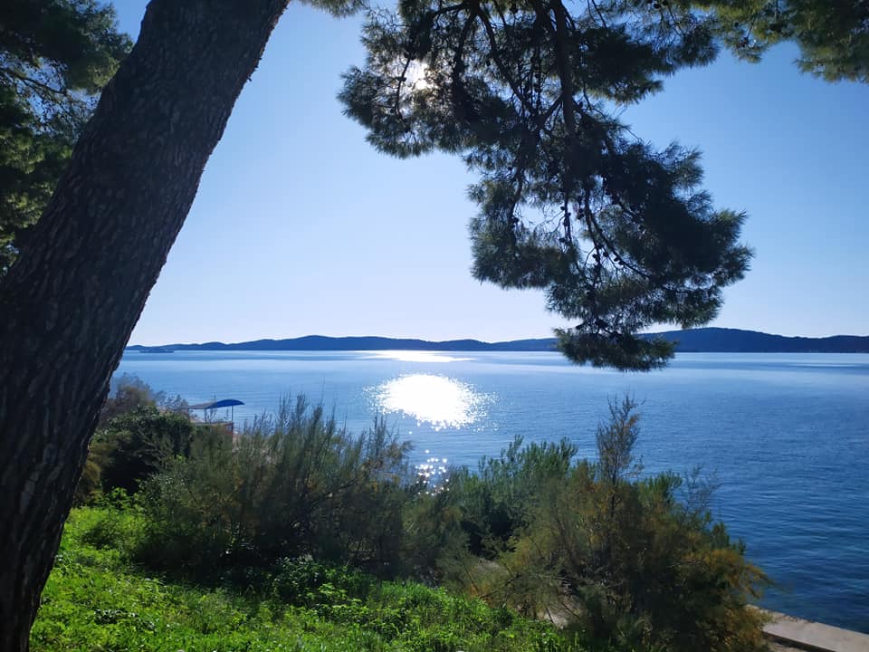 Hello Zadar