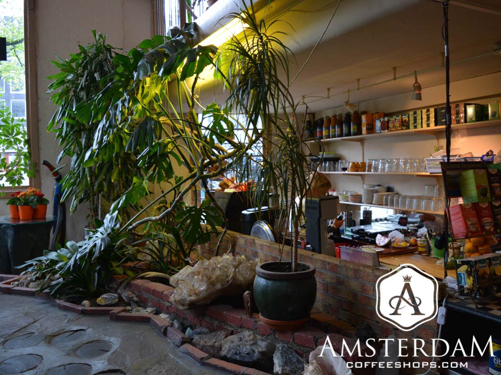 La Tertulia Coffeeshop Amsterdam by amsterdamcoffeeshops