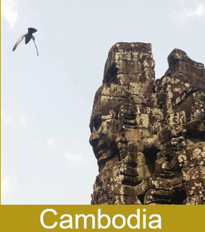 Budget Travel in Cambodia