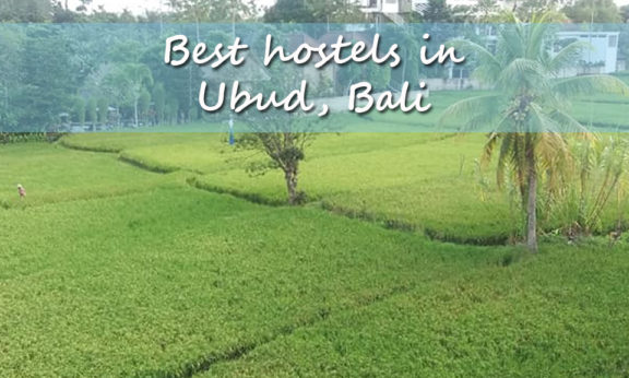 Best hostels in Ubud, Bali