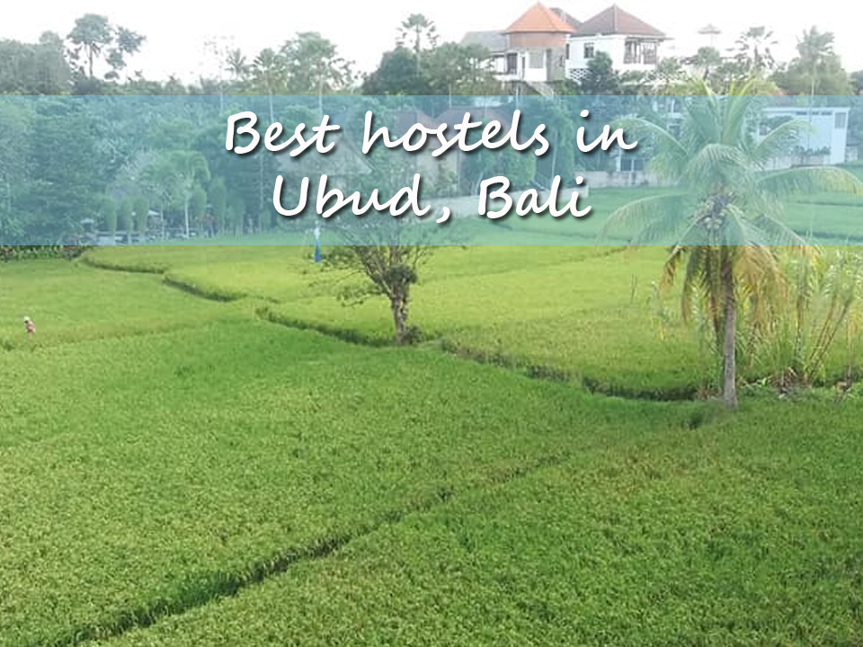 Best hostels in Ubud, Bali